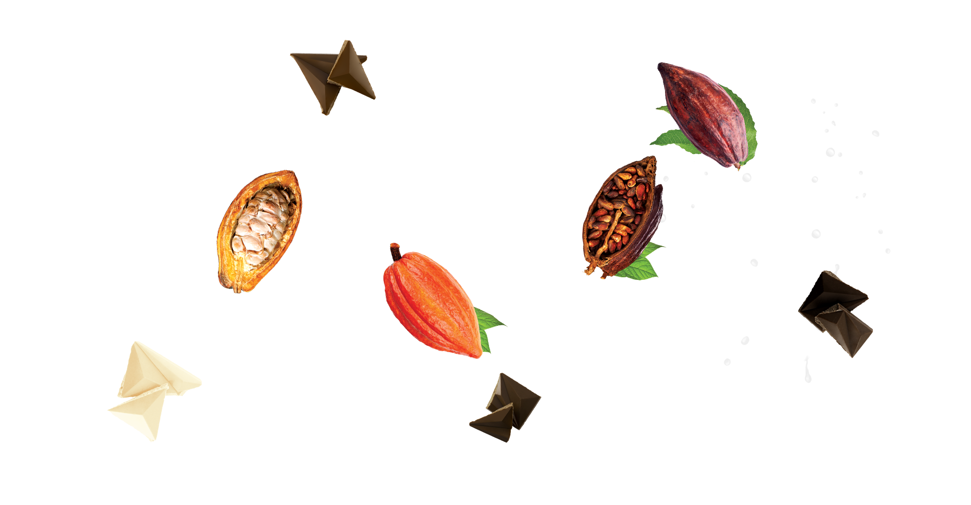 Новая коллекция